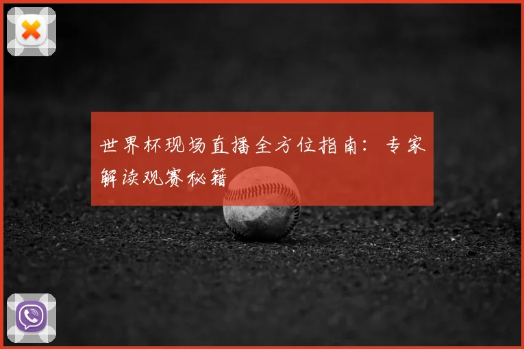 世界杯现场直播全方位指南：专家解读观赛秘籍