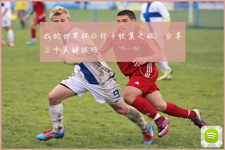 我的世界杯公仔卡收集之旅：分享三个关键技巧