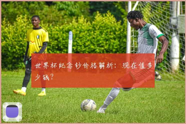 世界杯纪念钞价格解析：现在值多少钱？