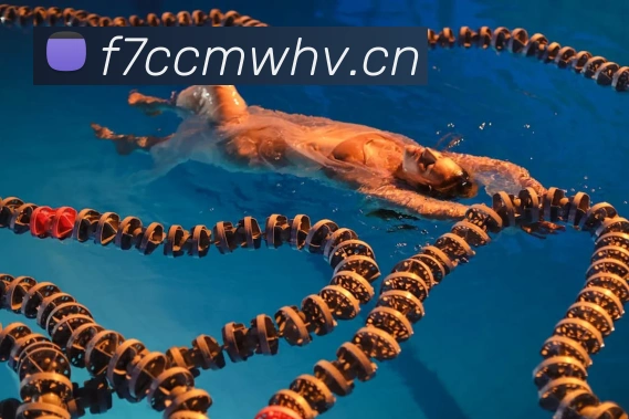 mksports最新消息平台生态图